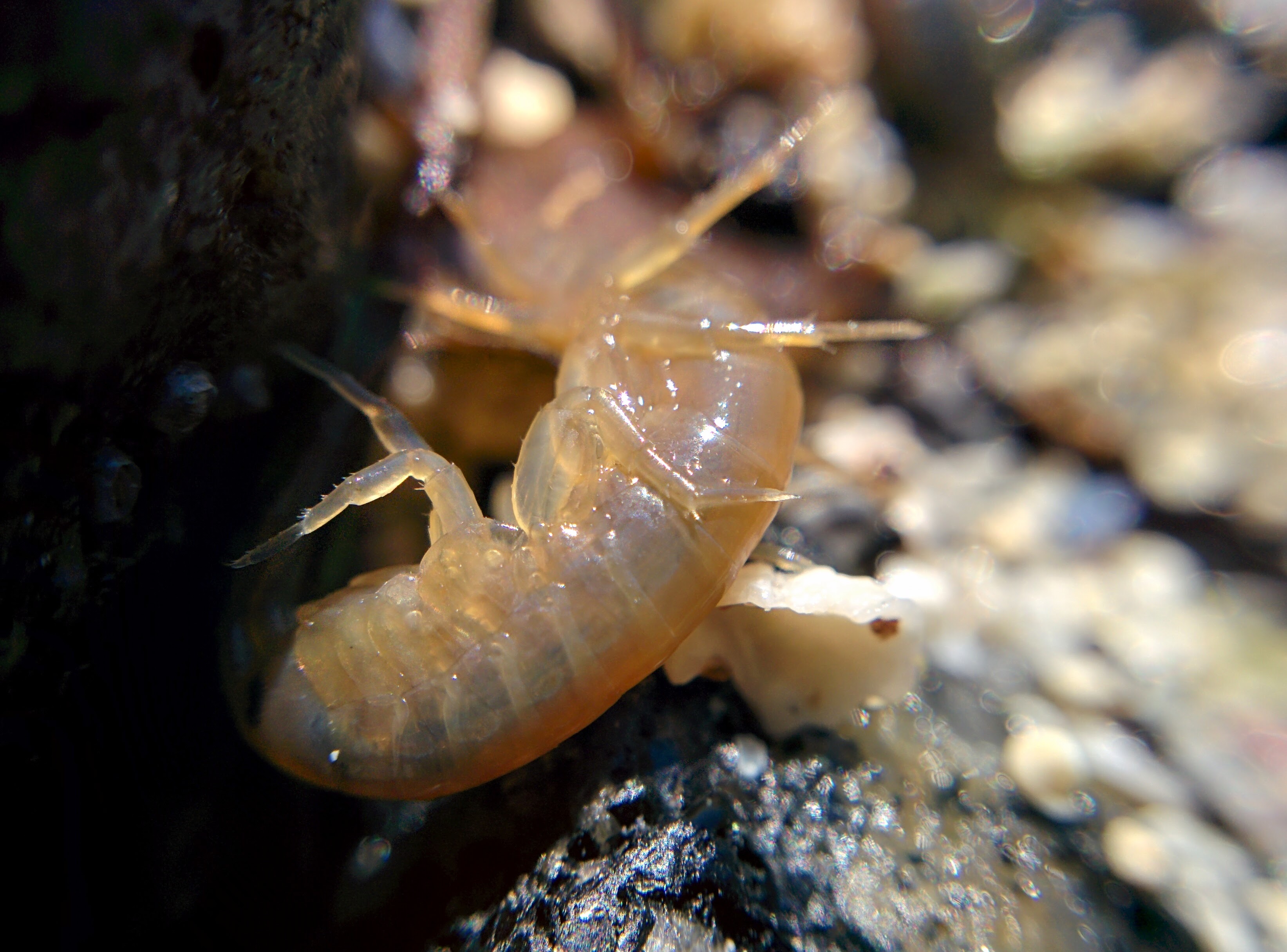 IMG\_20160522\_104410