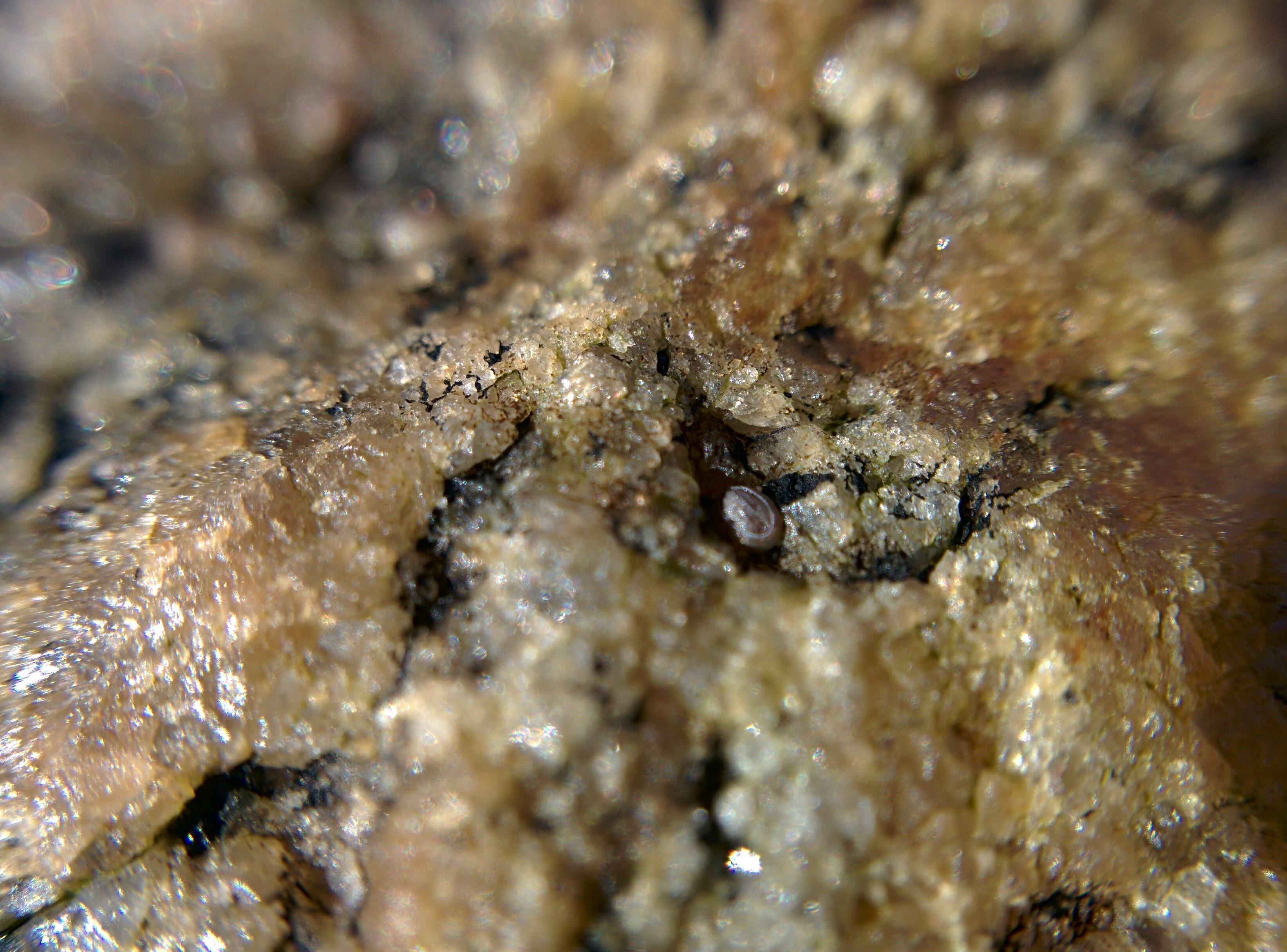 IMG\_20160522\_105536