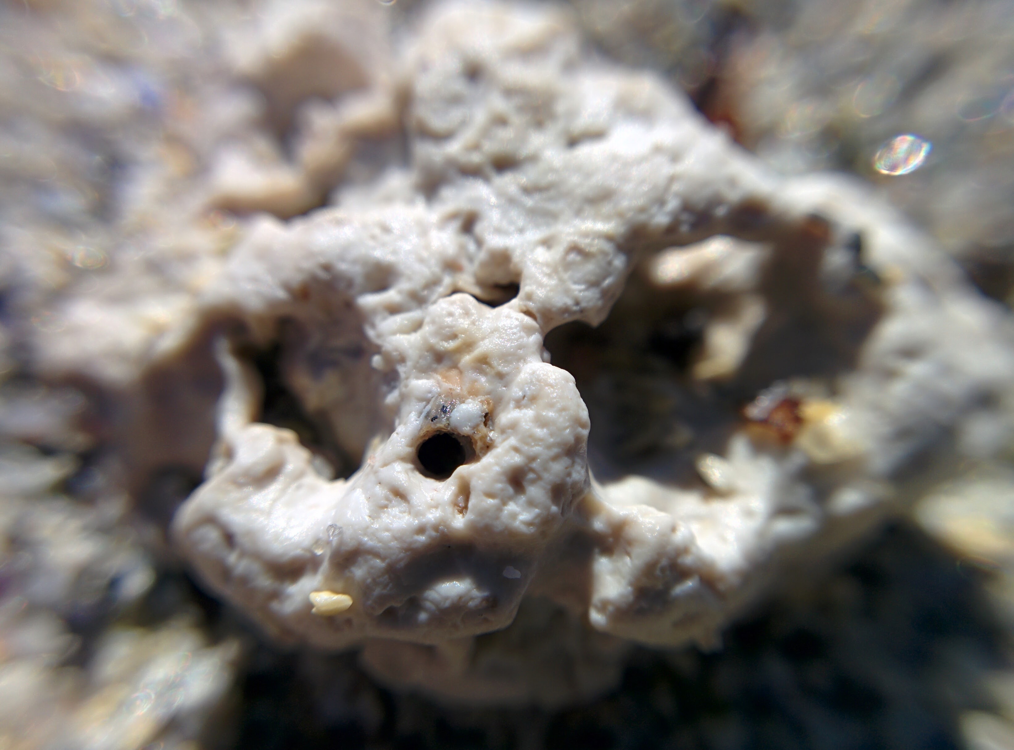 IMG\_20160522\_105559