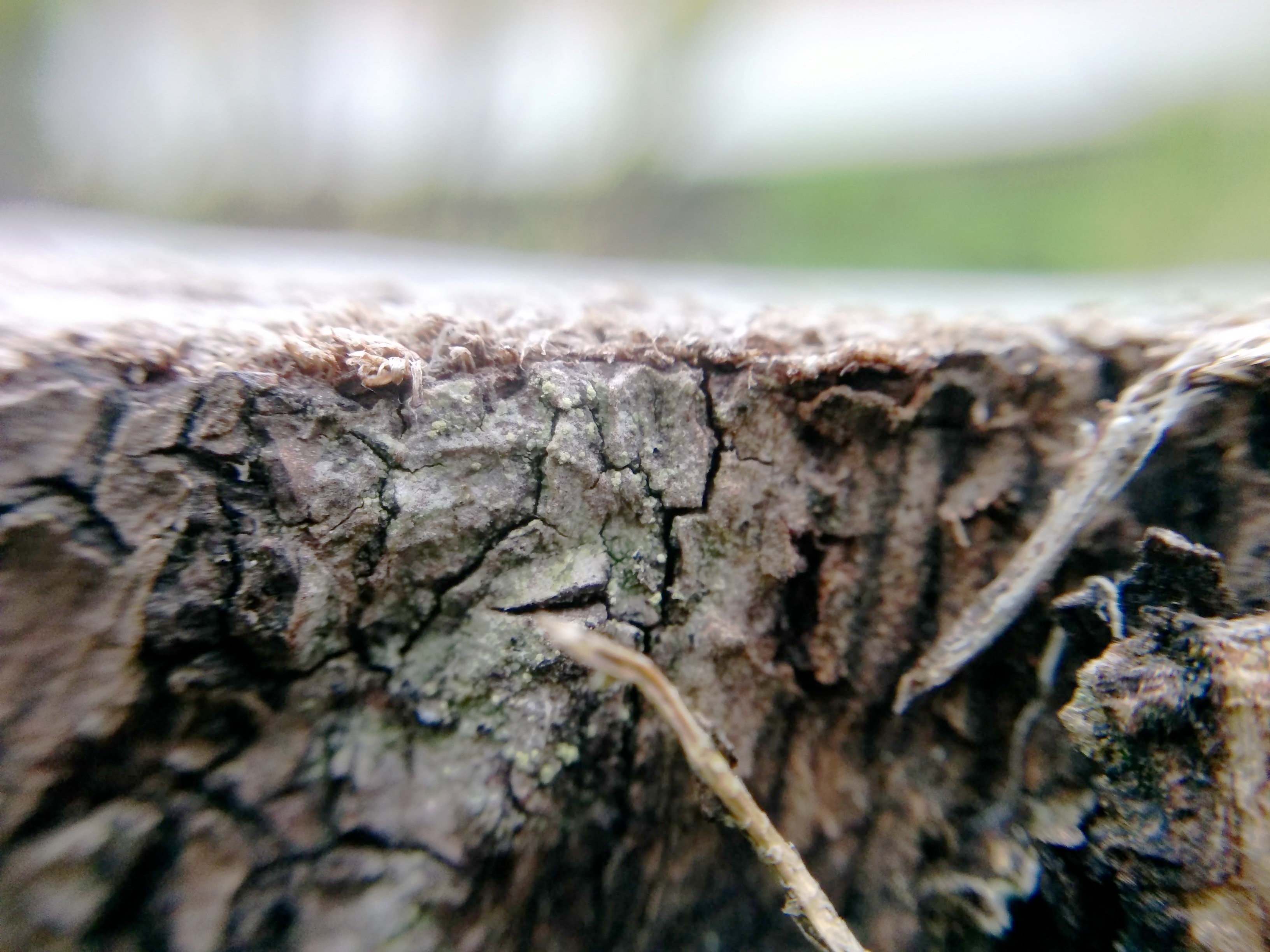 img_20160511_174328-2