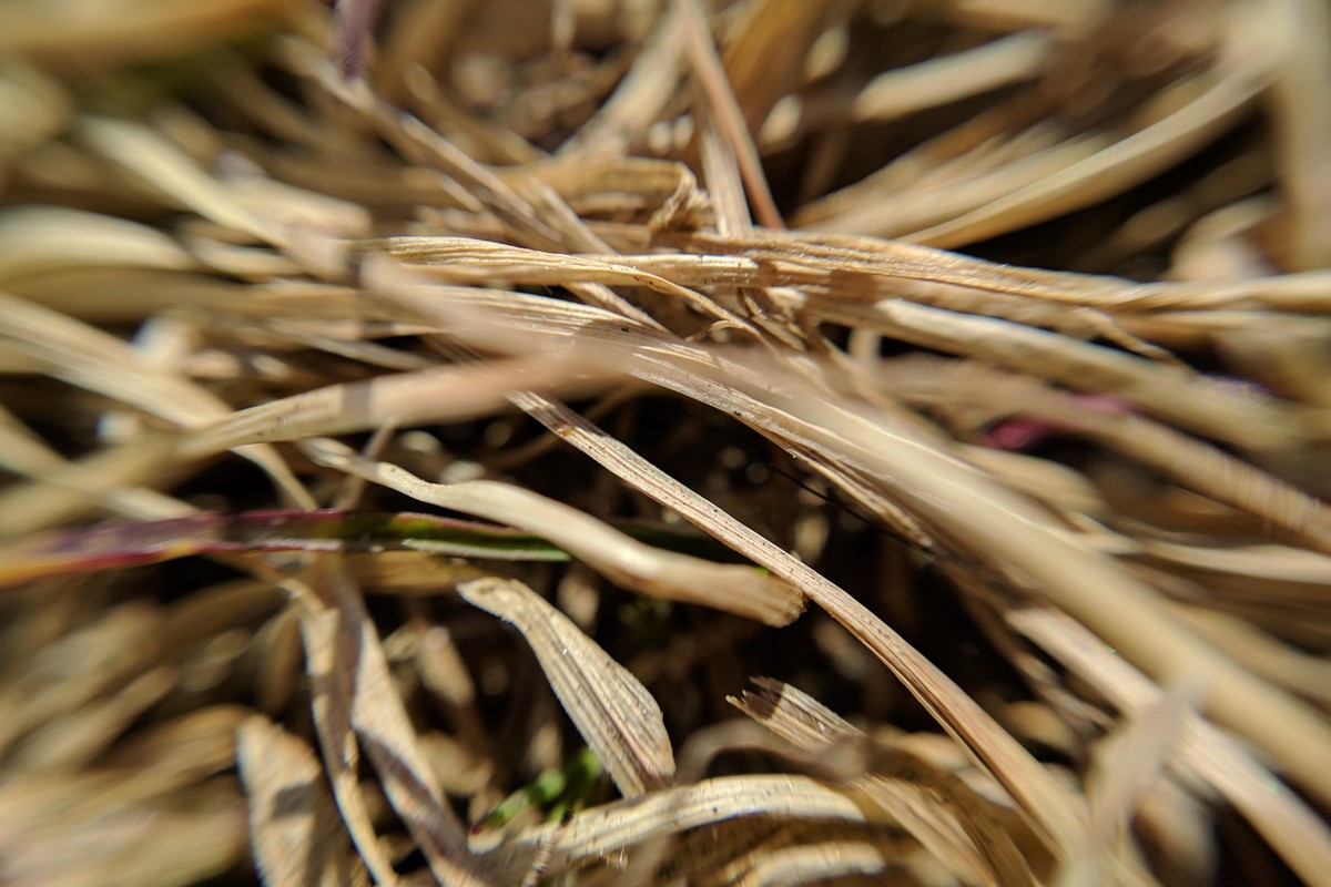 IMG\_20170427\_121626.jpg-1200